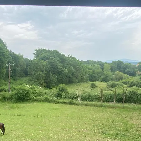 公寓 Dans Belle Maison Basque